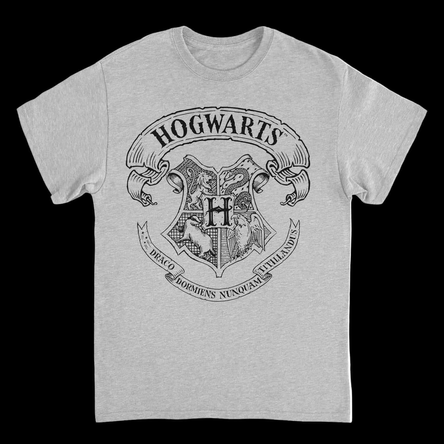 Harry Potter Hogwarts Pencil Emblem Sport Grey T-Shirt
